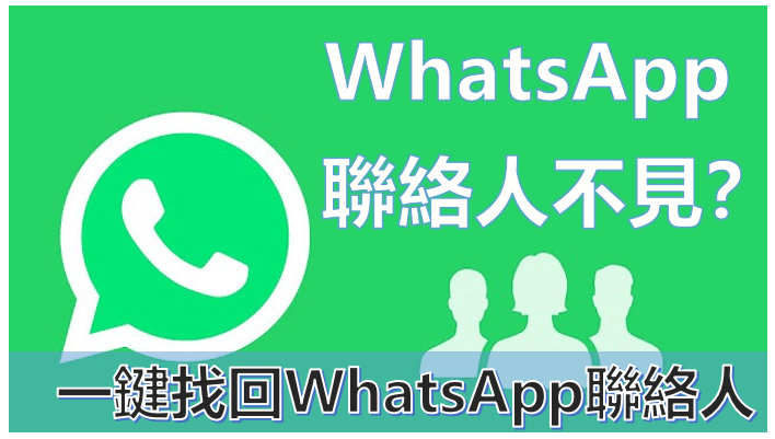 WhatsApp怎么查看联系人？