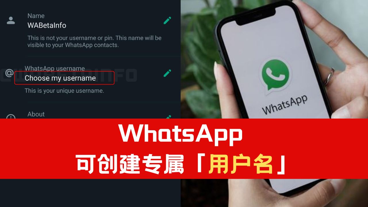 WhatsApp怎么设置用户名？